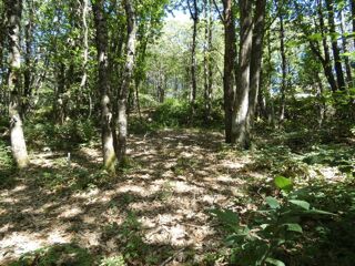  Terrain � vendre 1023 m�