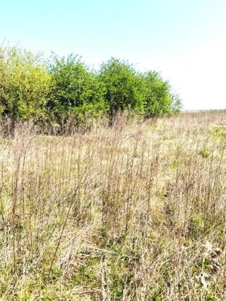  Terrain � vendre 503 m�