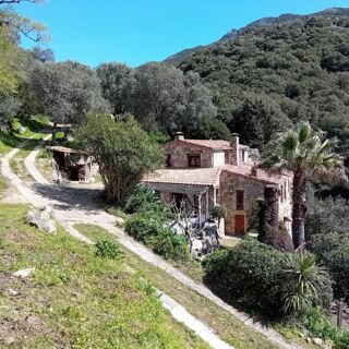  Moulin  vendre 5 pices 145 m Olmeto