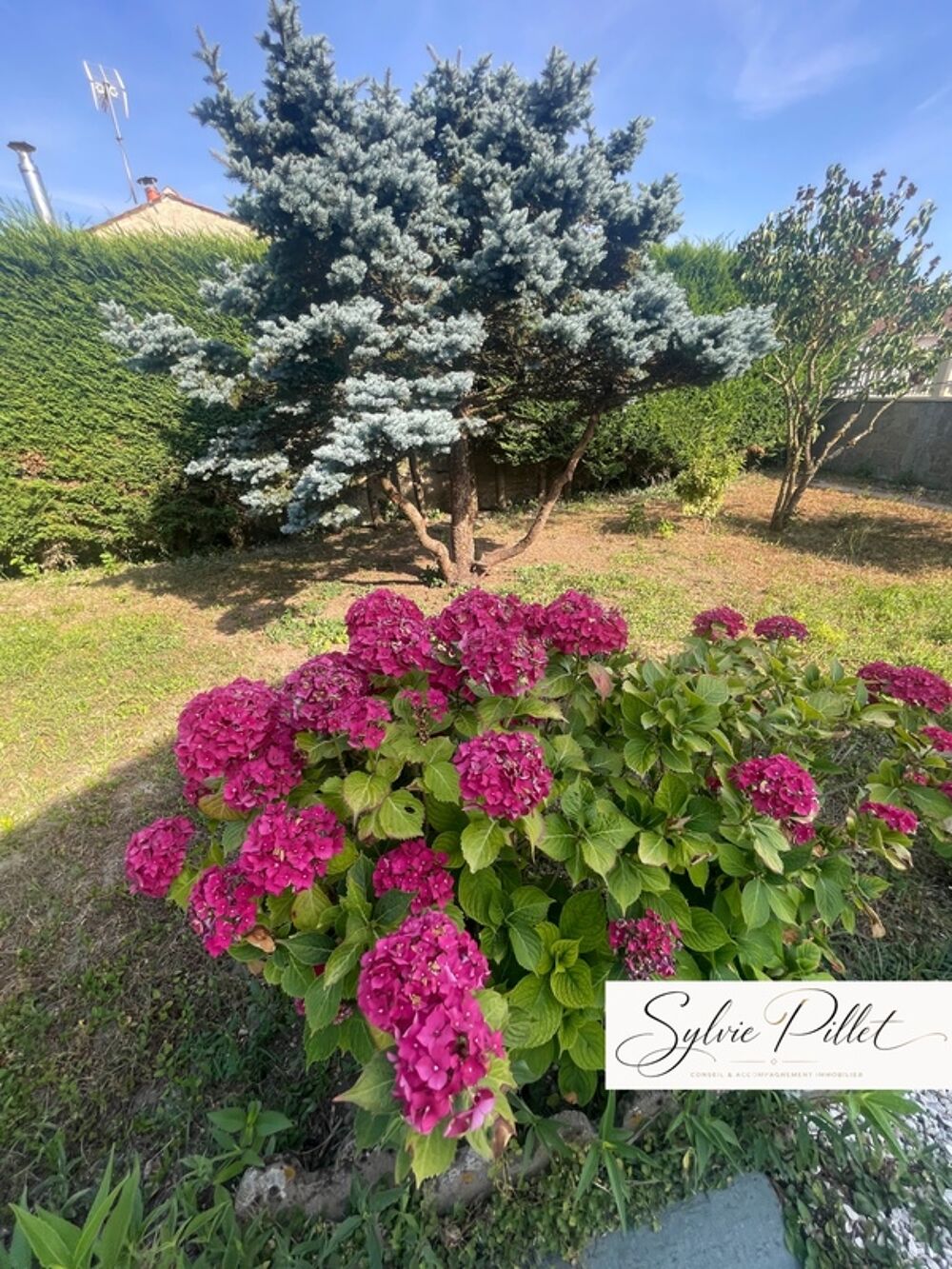 Vente Maison Maison à vendre 5 pièces à SAINT MICHEL EN L'HERM (85) Saint michel en l herm