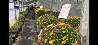  Maison � vendre 7 pi�ces 160 m�