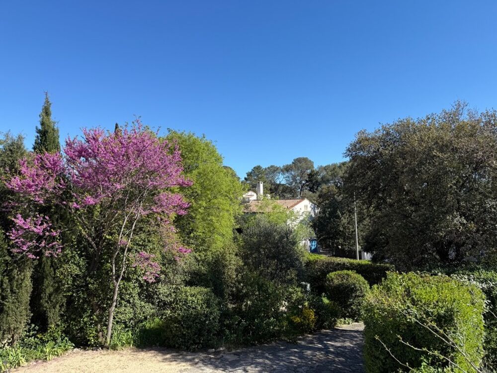 Montpellier Plan des 4 Seigneurs Une maison de vie, de lumière et dopportunités