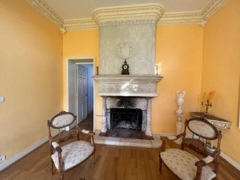 à vendre  Propriété/château Amboise (37400)