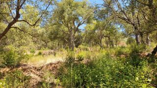  Terrain � vendre 2656 m�