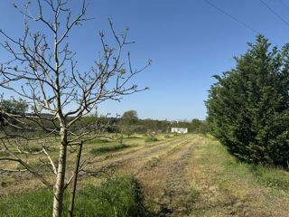  Terrain à vendre 2600 m²