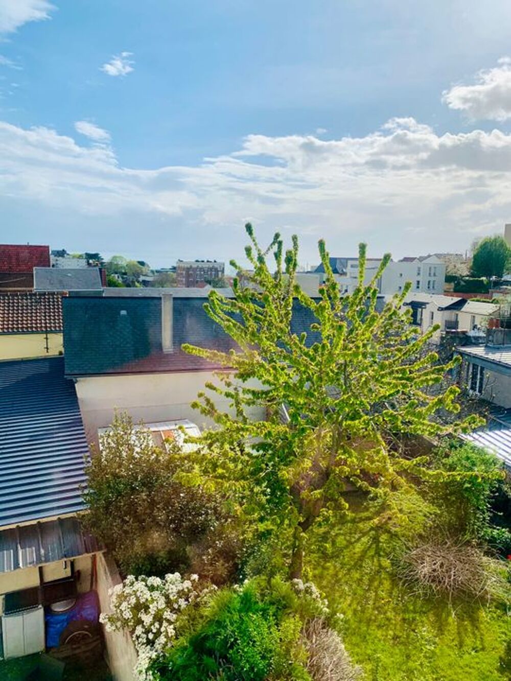 Location Appartement Studio de 15m2 à louer sur Le Havre Le havre