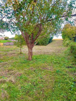  Terrain � vendre 567 m�