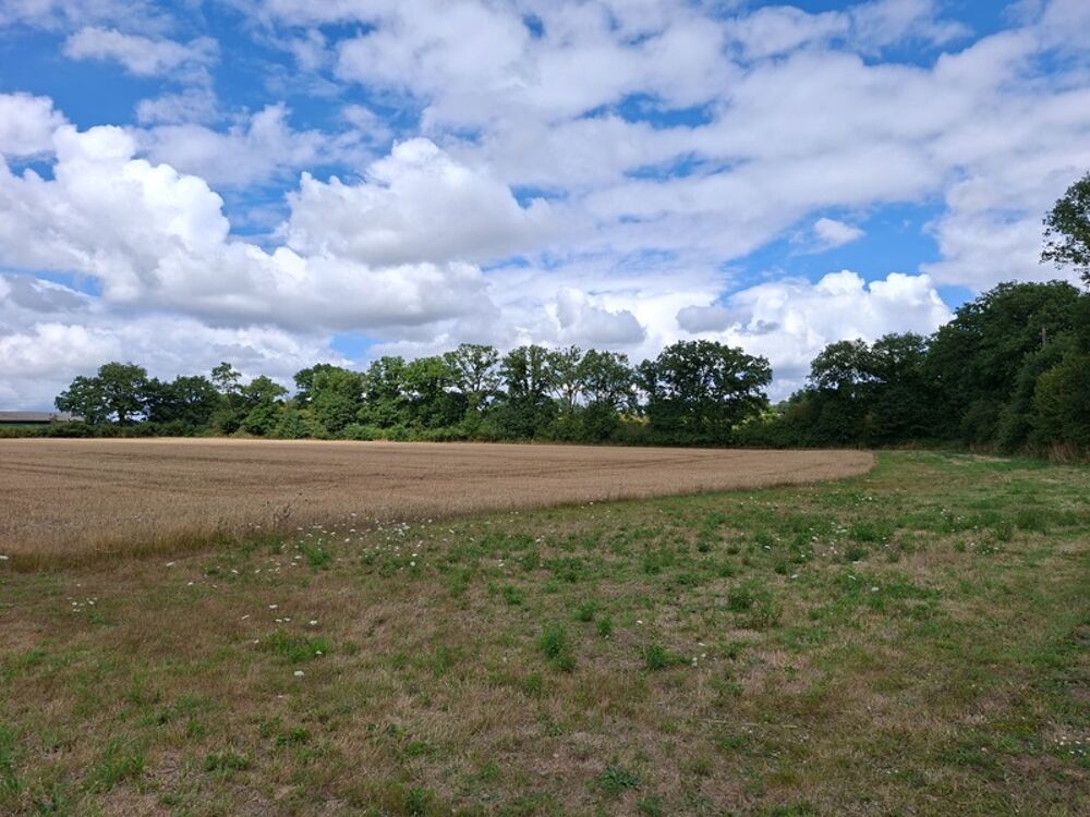 Vente Maison Longère rénovée en 6 pièces,128m2 plancher, double garage,au calme, impasse, au milieu des champs, proche Villaines la Juhel et Javron les chapelles
