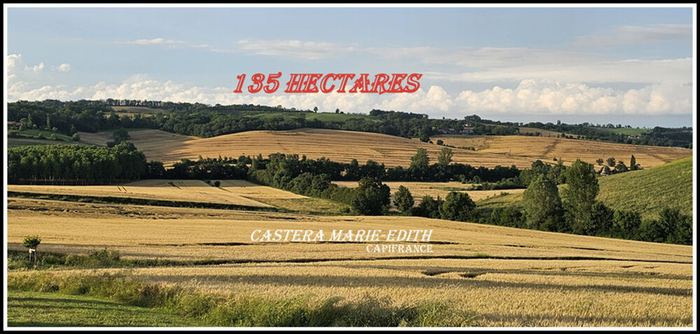 à vendre  Propriété/château Auch (32000)