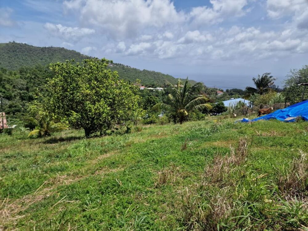 Vente Terrain Terrain Le Morne Vert Le morne vert