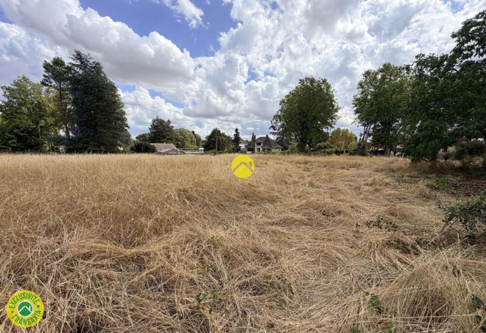 Vente Terrain Terrain constructible 4190 m² Chateauneuf sur cher