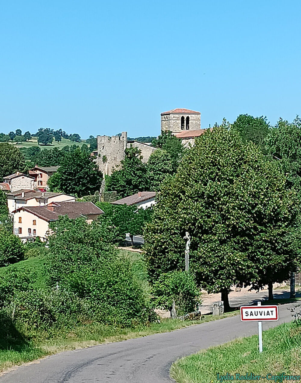 Vente Terrain Terrain 4580m2 SAUVIAT-63120 secteur très calme et naturel Sauviat