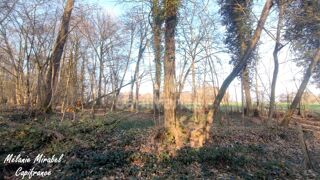  Terrain � vendre 3640 m�