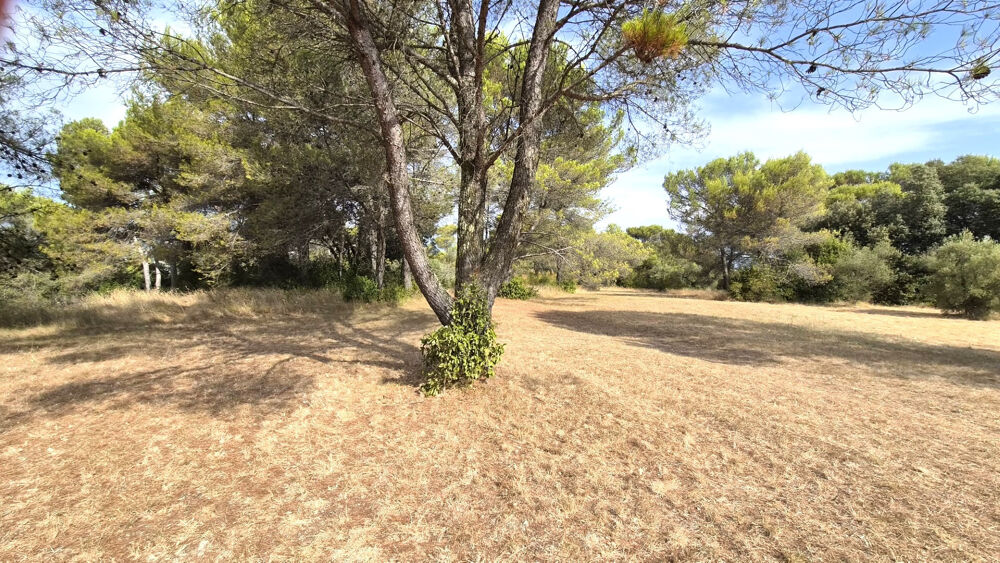 Vente Terrain Terrain viabilisé à vendre  ALES (30) Ales
