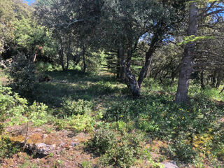  Terrain à vendre 13700 m²