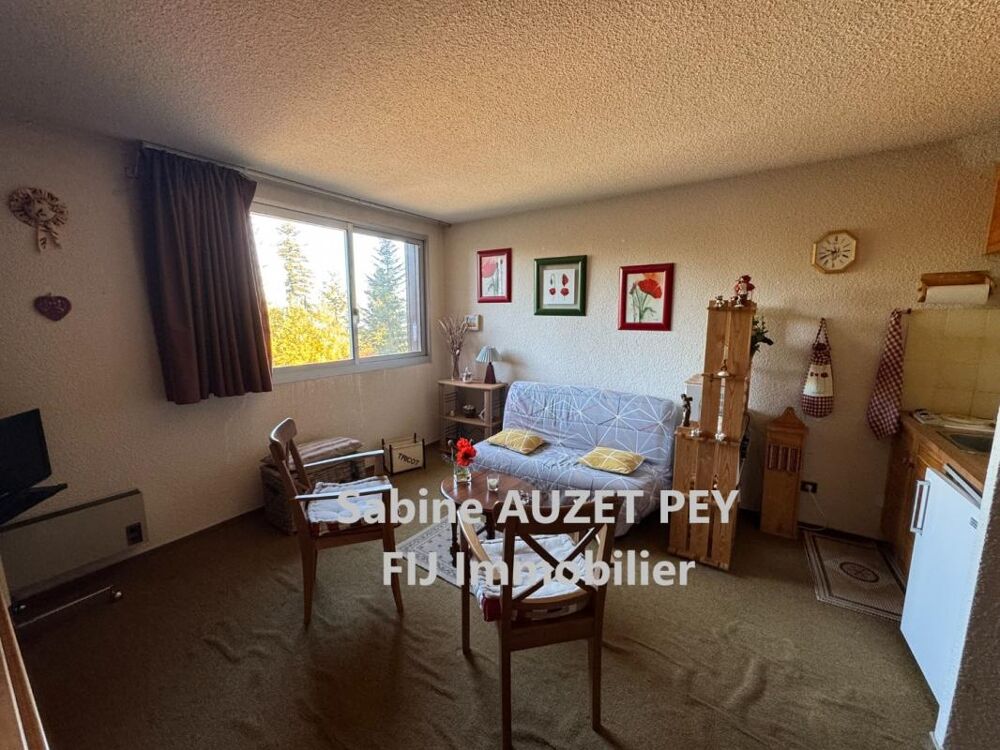 Vente Appartement Appartement 2 pièces / 29 m² / 55 000 EUR / SELONNET Selonnet
