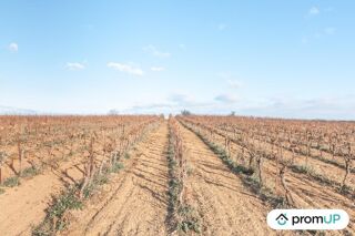  Terrain  vendre 57000 m