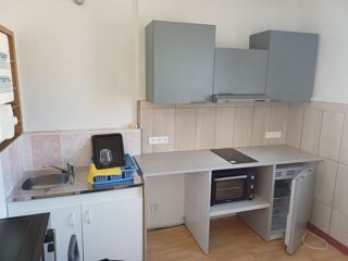  Appartement à louer 1 pièce 30 m²