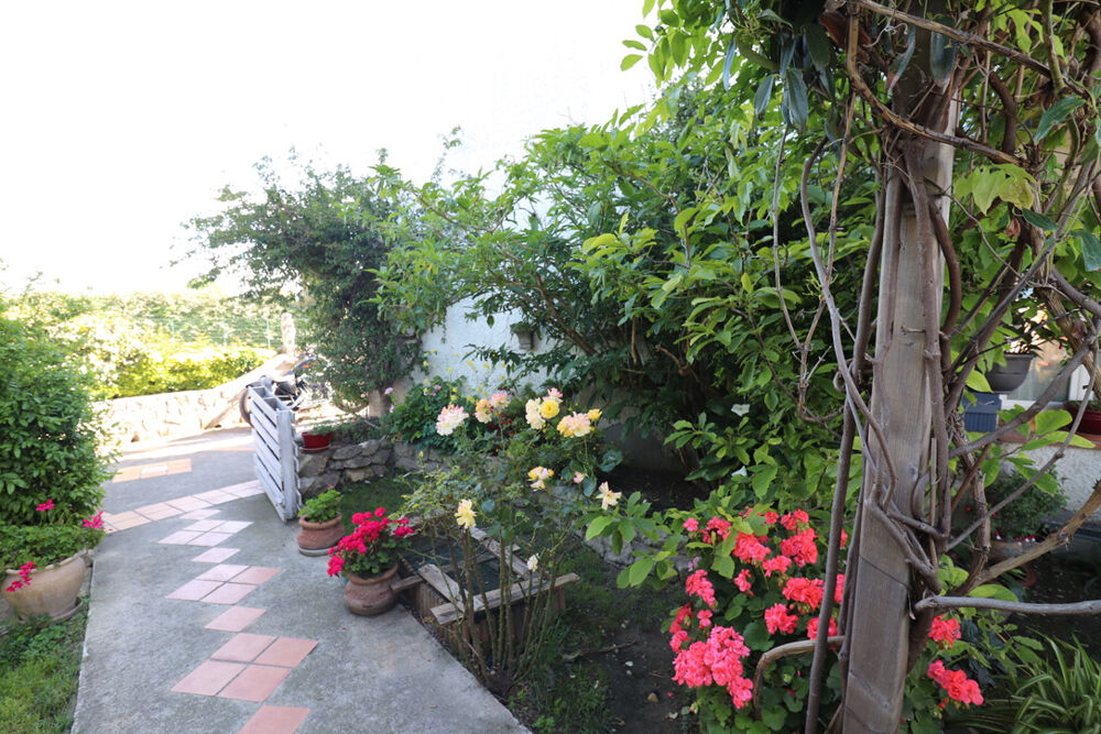 Vente Maison MAS PROVENCAL  Arles 5 pièce(s) 164 m2 Arles