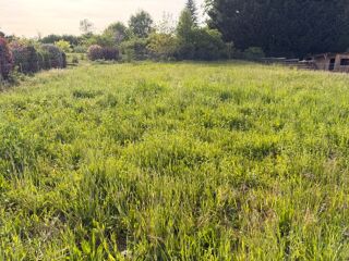  Terrain à vendre 774 m²