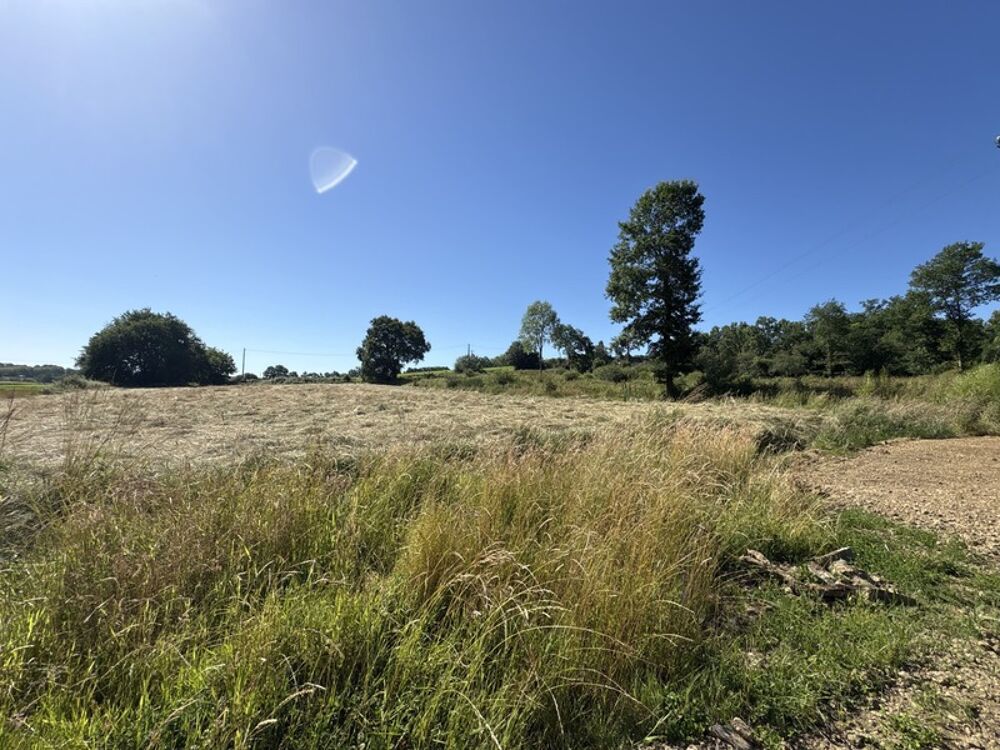 Vente Terrain Proche Orthez (64) - À VENDRE - Terrain constructible de 1,4ha idéal promoteur ou lotisseur Orthez