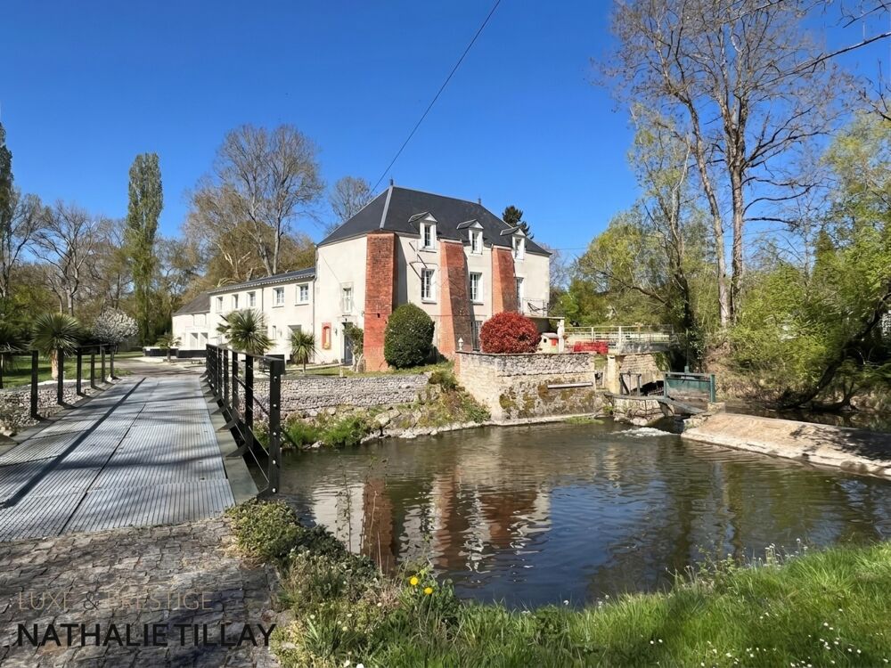 à vendre  Propriété/château Orléans (45000)