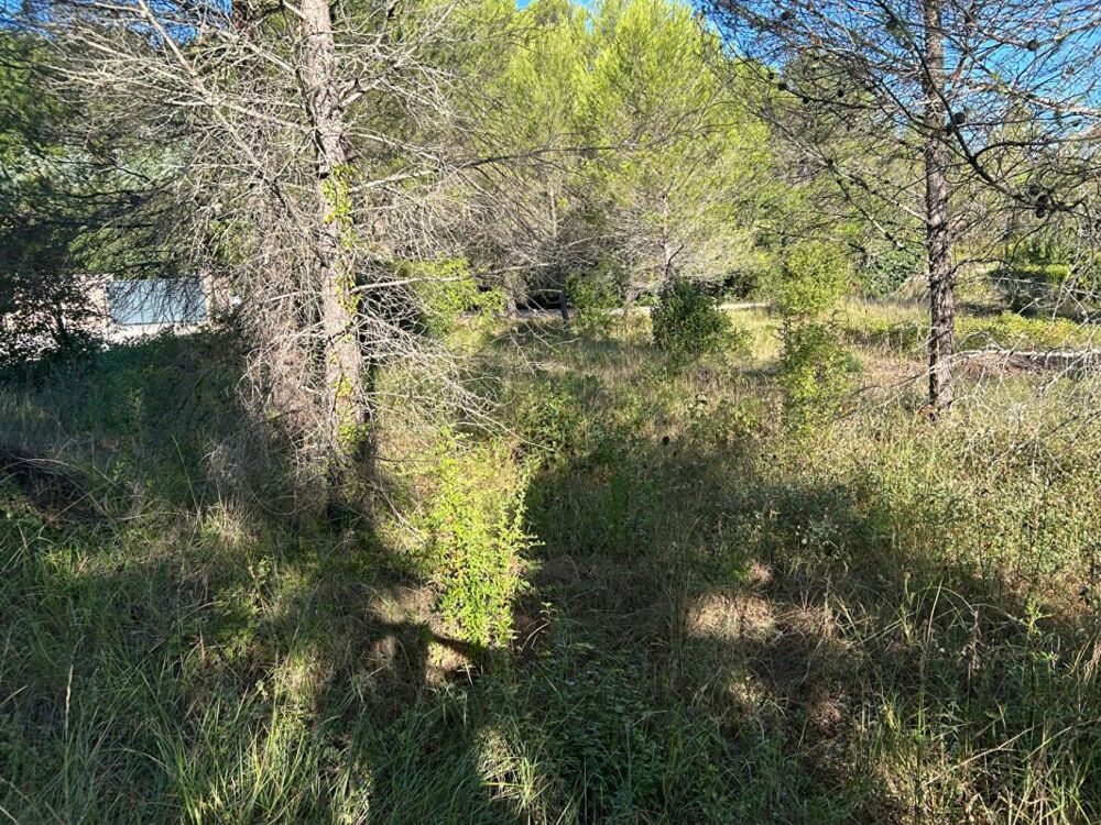 Vente Terrain Terrain  1250 m2 Tourves