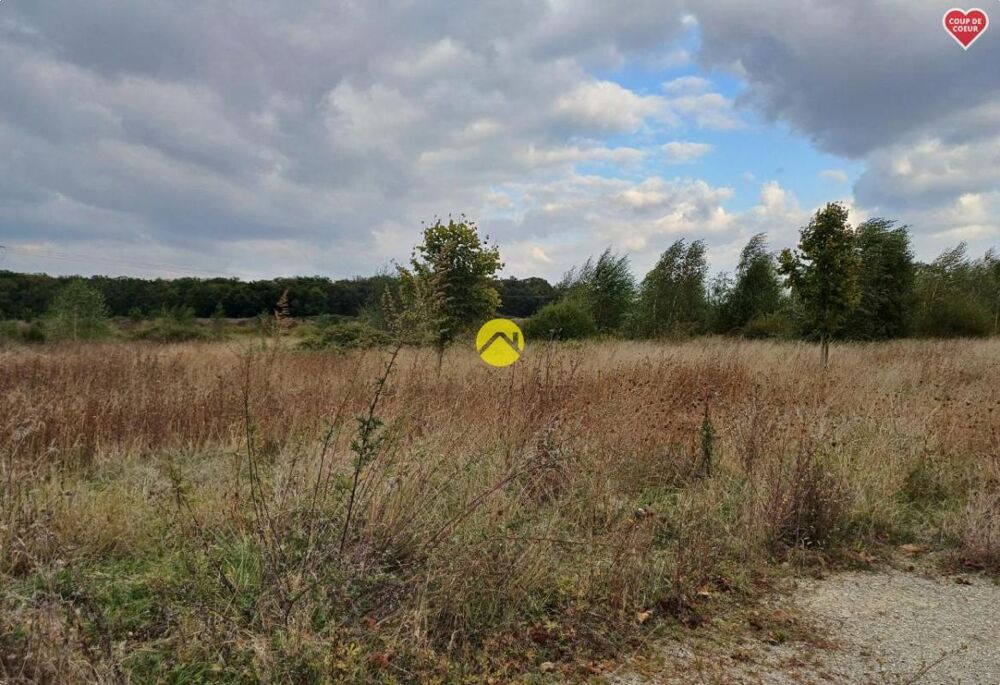 Vente Terrain TERRAIN CONSTRUCTIBLE Charost