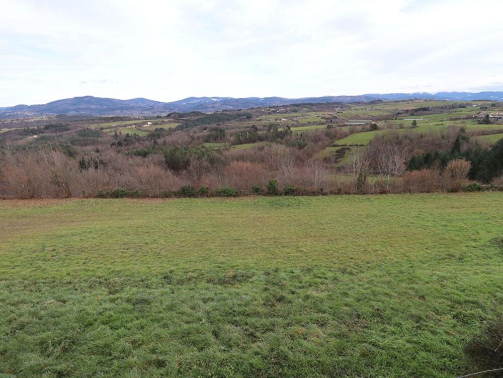 Vente Maison Maison Sauviat 5 pièce(s) 90 m2 environs + garage  et 7000m2 de terrain dont 3000 constructibles Sauviat