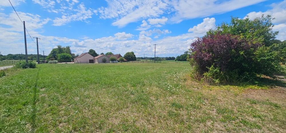 Vente Maison Maison au calme, en pleine campagne – 2 logements + dépendances – 5600 m² de terrain Pierre de bresse