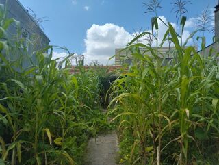  Maison � vendre 2 pi�ces 55 m�