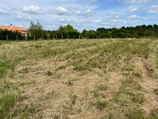  Terrain  vendre 2303 m
