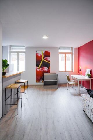  Appartement � louer 1 pi�ce 24 m�
