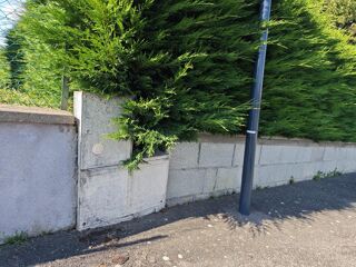  Terrain � vendre 981 m�