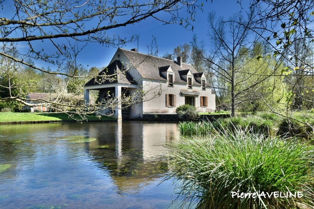 Maison à vendre 11 pièces proche de CLOYES LES TROIS RIVIERES (28)