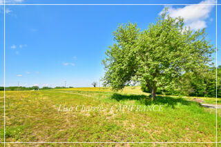  Propri�t�/ch�teau � vendre 8 pi�ces 244 m�