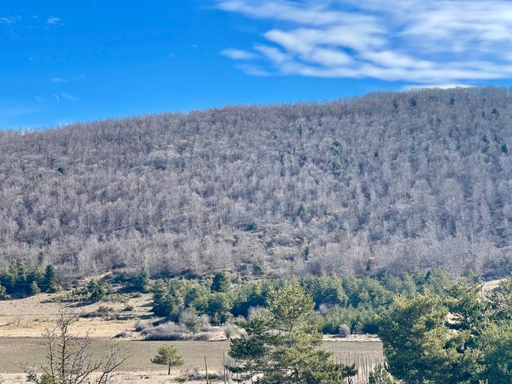 Vente Propriété/Château À VENDRE – Château à rénover sur domaine de 67 hectares Lagarde d apt
