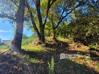  Terrain à vendre 785 m²