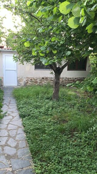  Appartement à louer 2 pièces 32 m²