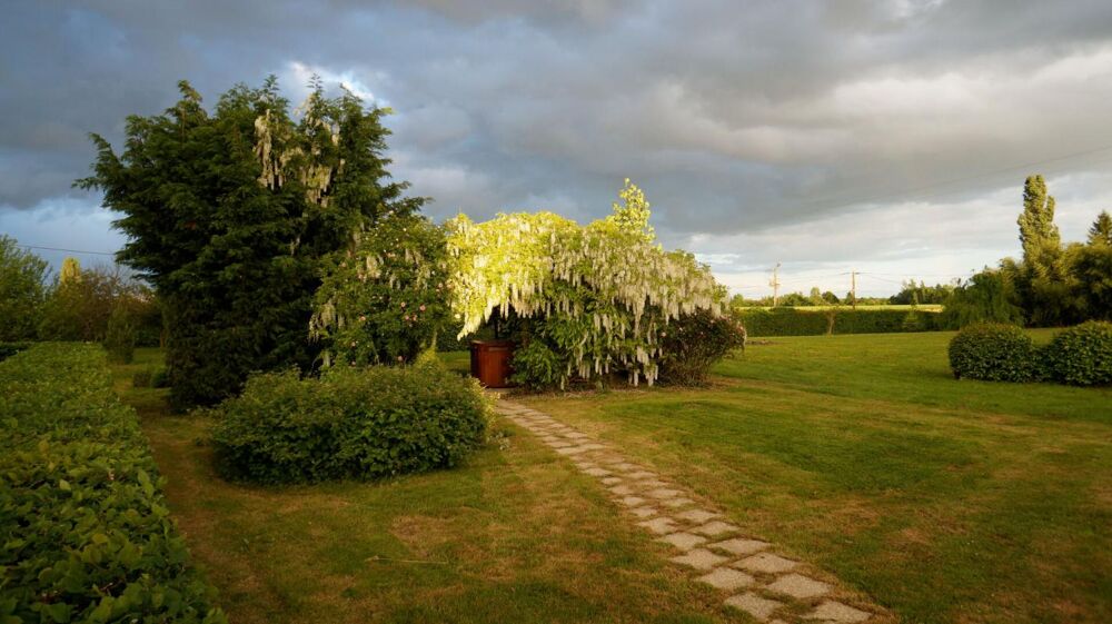 à vendre  Propriété/château Saint-Martin-en-Bresse (71620)