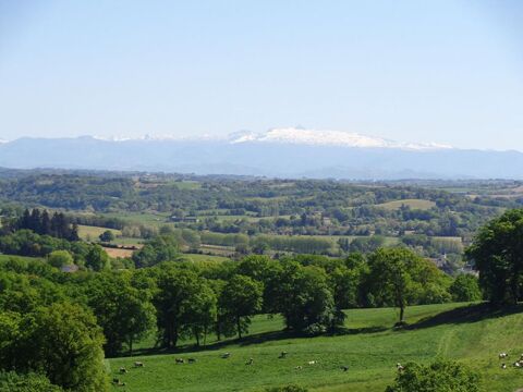   Villa d'architecte 162 m2, 2 ha terrain et bois Maison - 6 pièce(s) - 162 m²