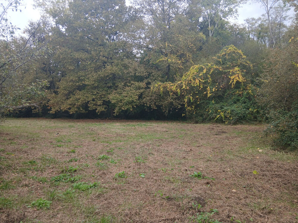 Vente Terrain Grande parcelle à Créon – potentiel de division Creon