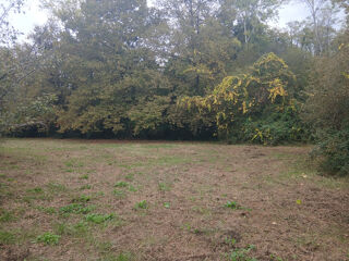  Terrain à vendre 3006 m²