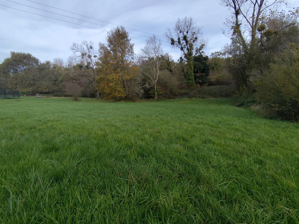 Vente Terrain Terrain constructible 4714m2 Le Tâtre (16360) Le tatre