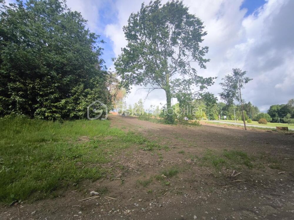 Vente Terrain ? Coup de cœur – Grand terrain constructible entre nature et commodités à Oradour-sur-Glane ? Oradour sur glane
