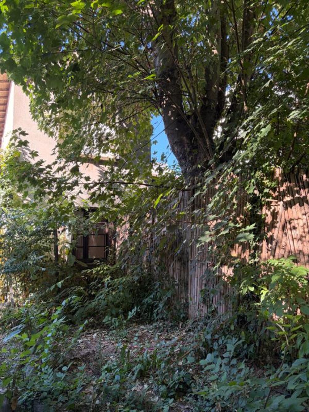Vente Maison Maison Bordeaux 6 pièce(s) 105 m2 Bordeaux