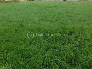  Terrain � vendre 1089 m�