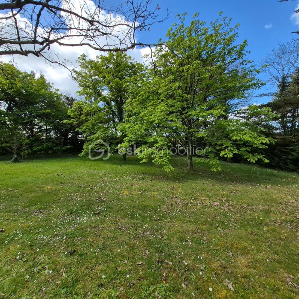 à vendre  Propriété/château Saint-Augustin-des-Bois (49170)