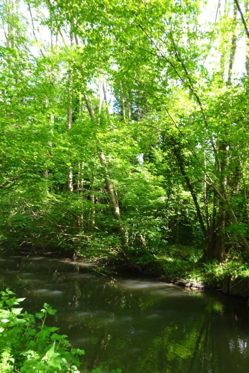 Vente Terrain Terrain à vendre de 625,00 m² Proche de COURTEMAUX (45) Courtemaux