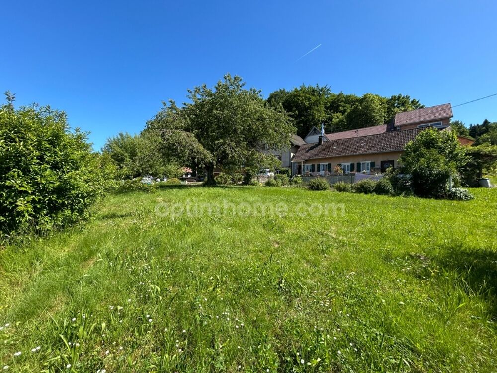 VIEUX-FERRETTE, propriété composé de 2maisons, dont une louée, sur 17.37ares. Enorme potentiel. Emplacement magnifique!